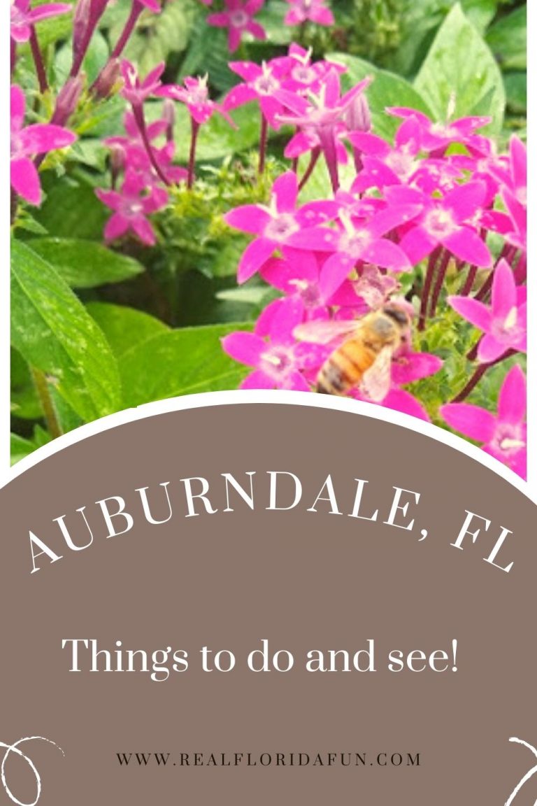 Things to do in Auburndale (FL)